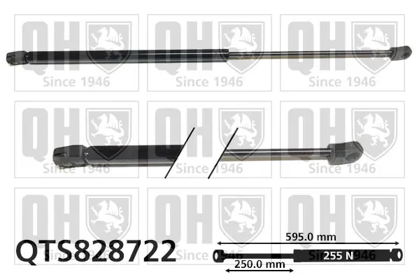 газов амортисьор, багажно-товарно пространство QUINTON HAZELL      