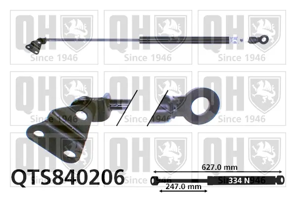 газов амортисьор, багажно-товарно пространство QUINTON HAZELL      