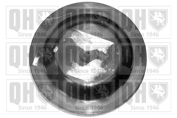 тампон, носач QUINTON HAZELL      