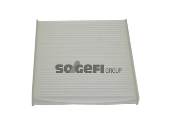 Филтър купе (поленов филтър) FRAM                