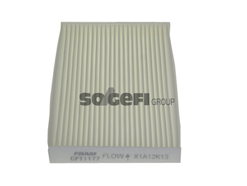 Филтър купе (поленов филтър) FRAM                