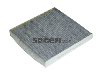 Филтър купе (поленов филтър) FRAM                