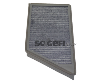 Филтър купе (поленов филтър) FRAM                