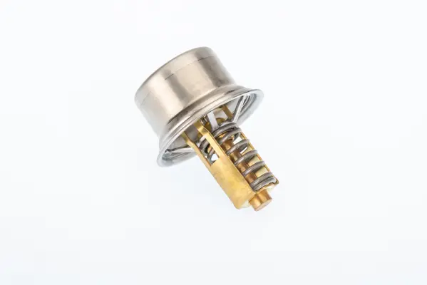 термостат, охладителна течност BorgWarner (Wahler) 