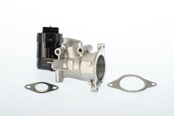 AGR-Клапан BorgWarner (Wahler) 