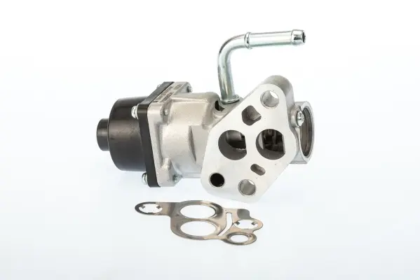 AGR-Клапан BorgWarner (Wahler) 