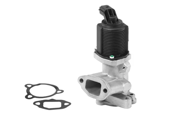 AGR-Клапан BorgWarner (Wahler) 