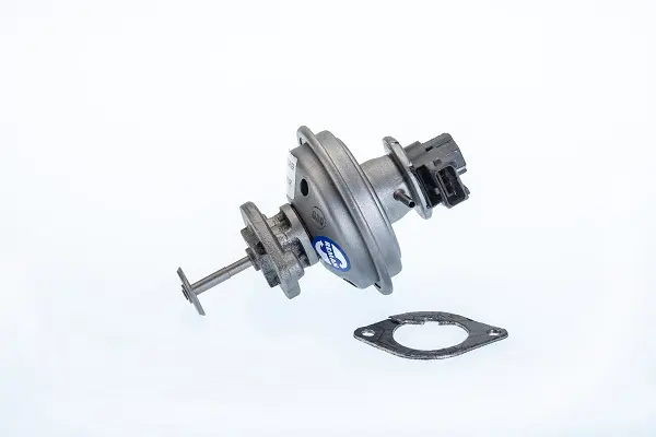 AGR-Клапан BorgWarner (Wahler) 