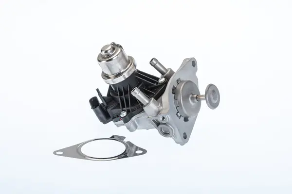 AGR-Клапан BorgWarner (Wahler) 