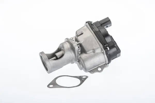 AGR-Клапан BorgWarner (Wahler) 