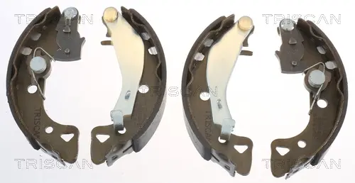 комплект спирачна челюст TRISCAN             