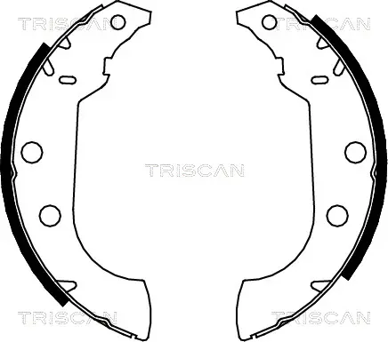 комплект спирачна челюст TRISCAN             