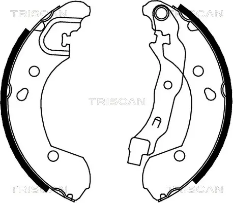 Комплект спирачна челюст TRISCAN