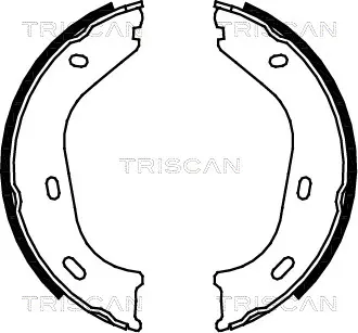 комплект спирачна челюст, ръчна спирачка TRISCAN             