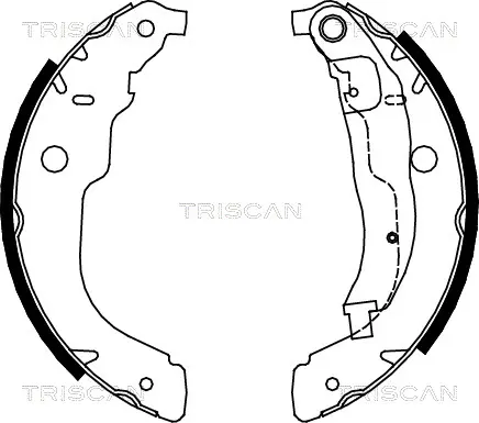 Комплект спирачна челюст TRISCAN