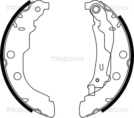 комплект спирачна челюст TRISCAN             