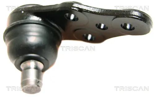 Шарнири TRISCAN
