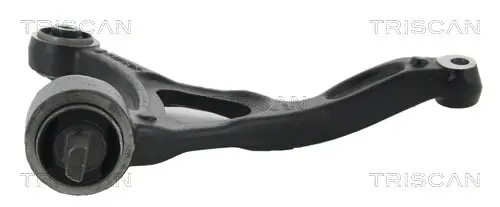 носач, окачване на колелата TRISCAN             