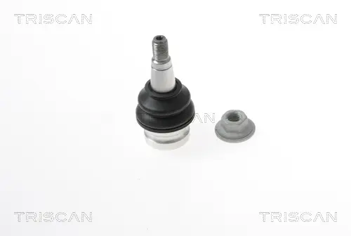 Шарнири TRISCAN