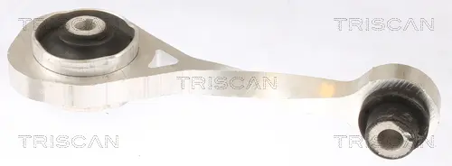 окачване, двигател TRISCAN             