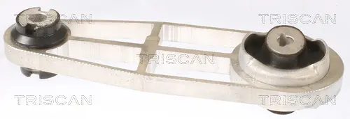 Окачване, двигател TRISCAN