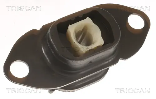 окачване, двигател TRISCAN             