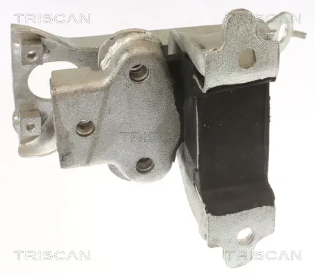 Окачване, двигател TRISCAN