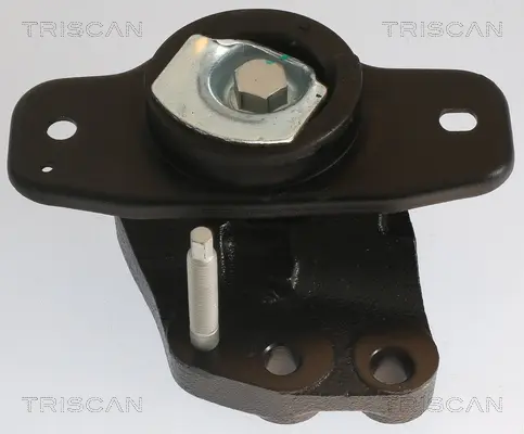 Окачване, двигател TRISCAN