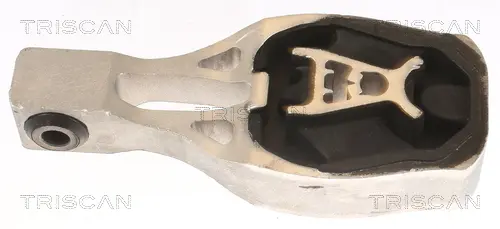 окачване, двигател TRISCAN             