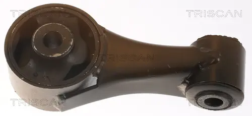 Окачване, двигател TRISCAN
