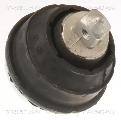 Окачване, двигател TRISCAN