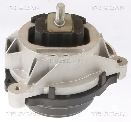 Окачване, двигател TRISCAN