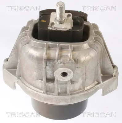 Окачване, двигател TRISCAN