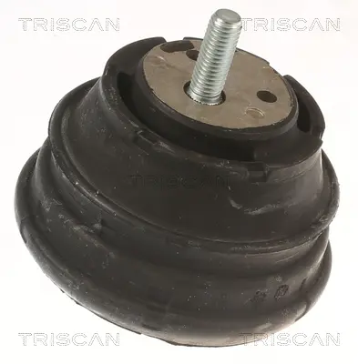Окачване, двигател TRISCAN