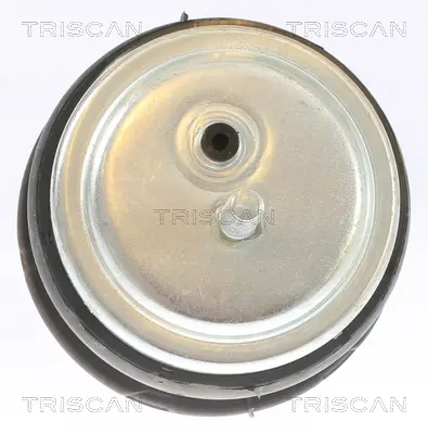 Окачване, двигател TRISCAN