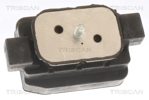 тампон, автоматична предавателна кутия TRISCAN             