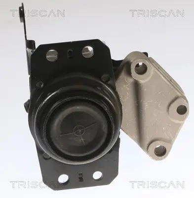 тампон, автоматична предавателна кутия TRISCAN             