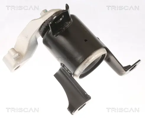 окачване, двигател TRISCAN             