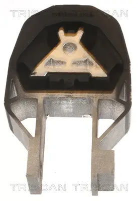 окачване, двигател TRISCAN             