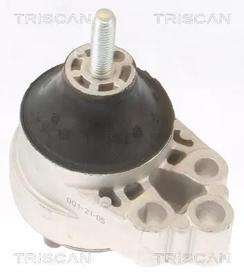 окачване, двигател TRISCAN             