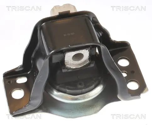 Окачване, двигател TRISCAN