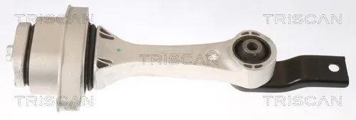 Окачване, двигател TRISCAN