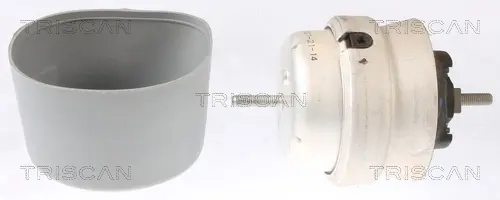 Окачване, двигател TRISCAN