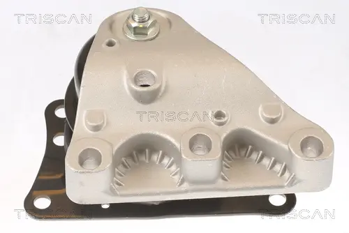 Окачване, двигател TRISCAN