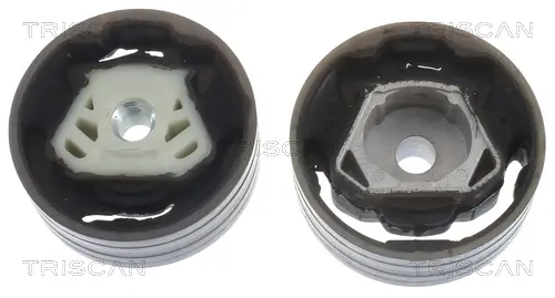 окачване, двигател TRISCAN             