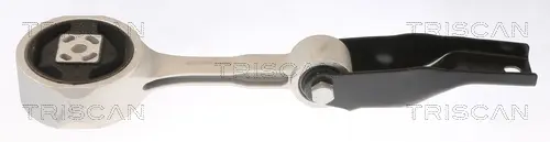 окачване, двигател TRISCAN             