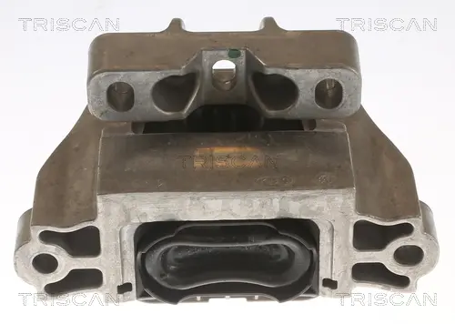 окачване, двигател TRISCAN             