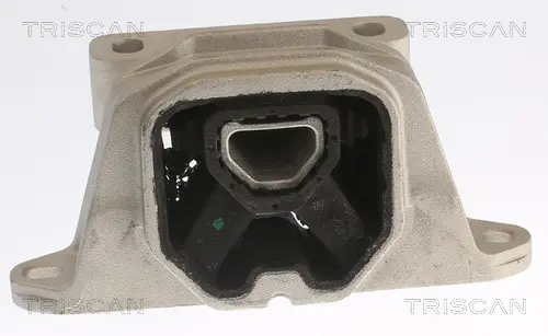 окачване, двигател TRISCAN             