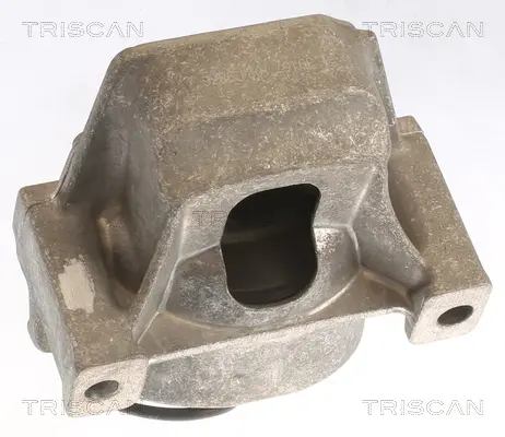 окачване, двигател TRISCAN             