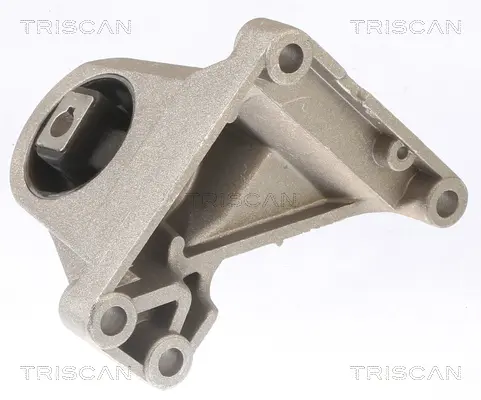 Тампон, ръчна скоростна кутия TRISCAN